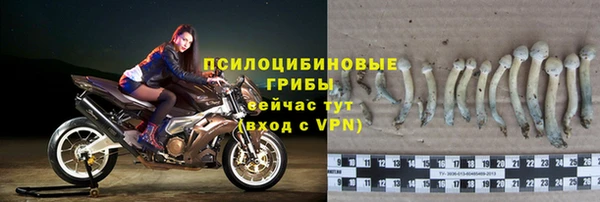 mdma Ельня