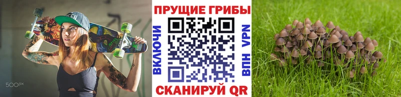 Псилоцибиновые грибы GOLDEN TEACHER  ссылка на мегу как войти  Мамадыш 