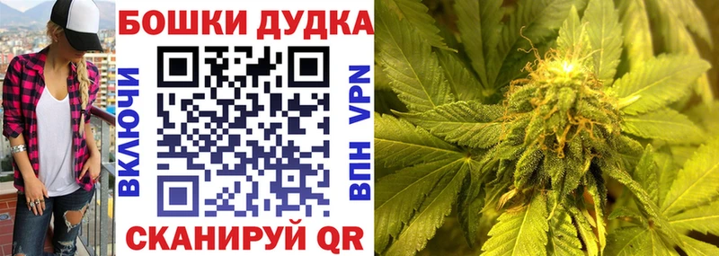 Бошки марихуана Bruce Banner  где найти   Мамадыш 